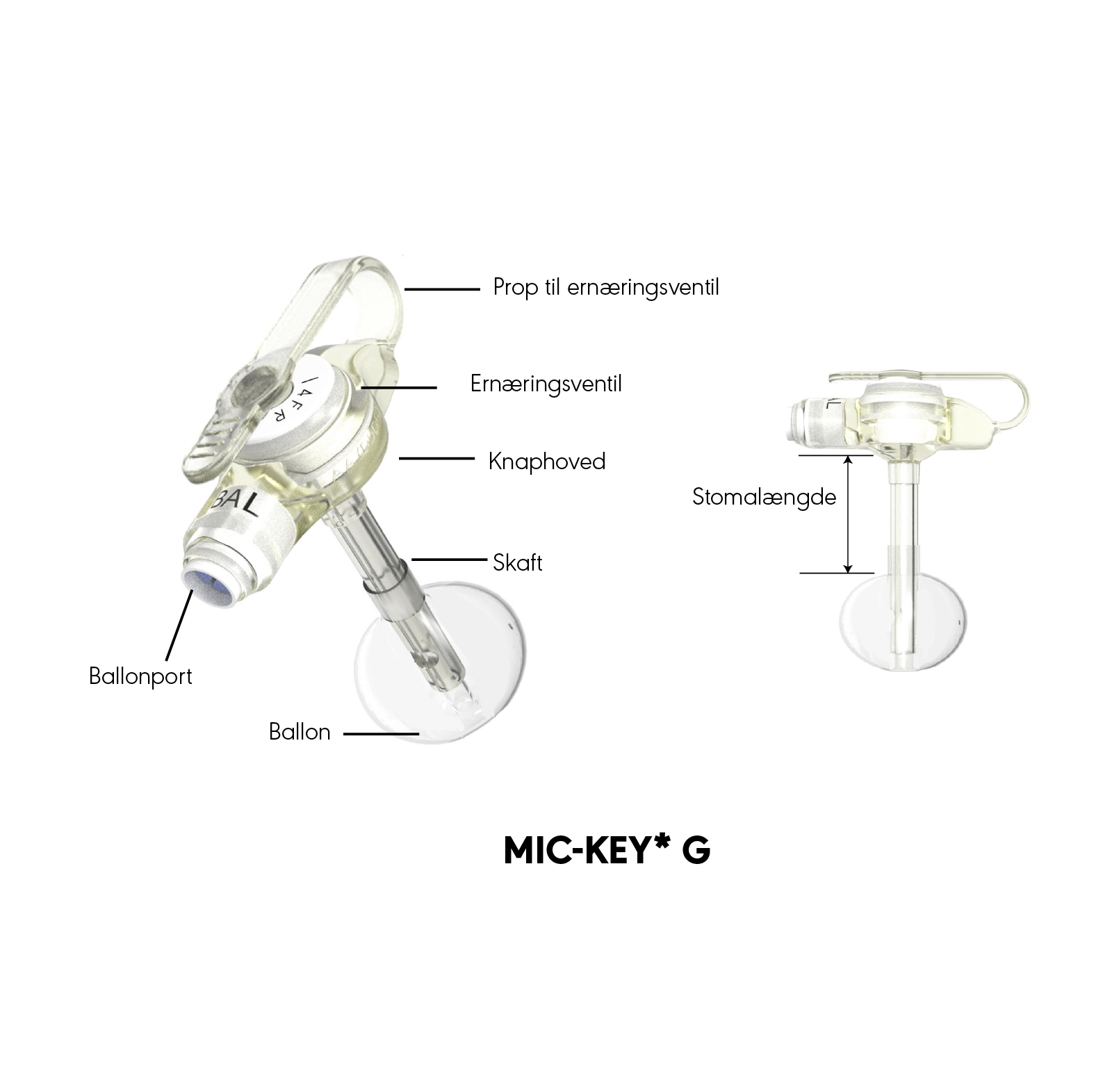 MIC-KEY* G produktinformation