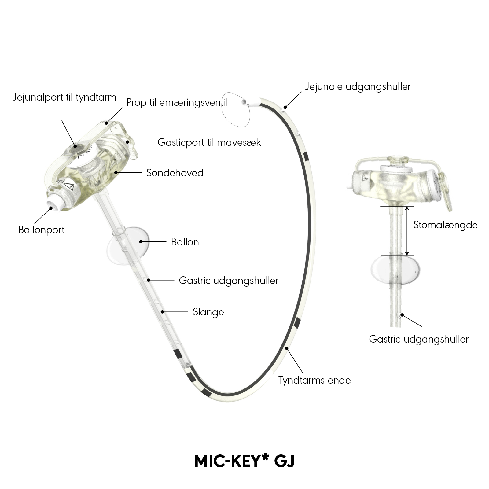 MIC-KEY* GJ produktinformation